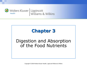 Chapter 3 Digestion and Absorption of the Food Nutrients