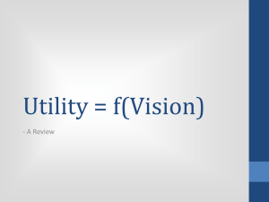 Utility = f(Vision) - A Review