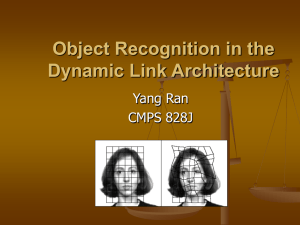 Object Recognition in the Dynamic Link Architecture Yang Ran CMPS 828J
