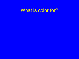 What is color for?