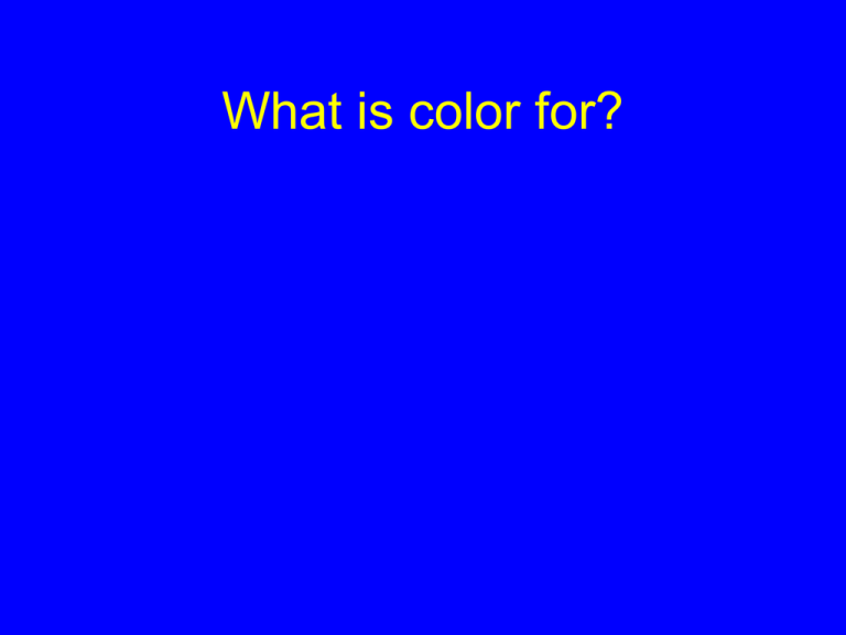 What Is Color For 