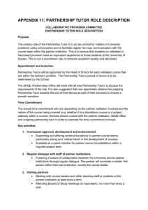 Appendix 11: Partnership tutor role description