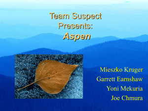 Aspen Team Suspect Presents: Mieszko Kruger