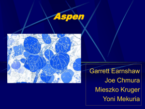 Aspen Garrett Earnshaw Joe Chmura Mieszko Kruger