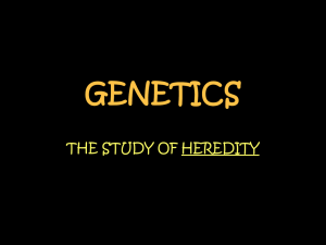 GENETICS THE STUDY OF HEREDITY