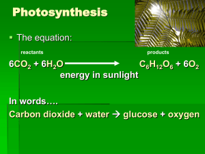 Photosynthesis  The equation: 
