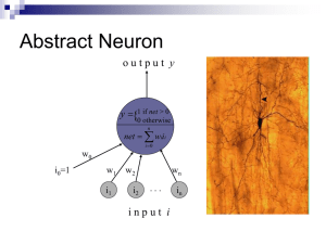 Abstract Neuron  { y