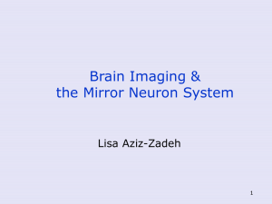 Brain Imaging &amp; the Mirror Neuron System Lisa Aziz-Zadeh 1