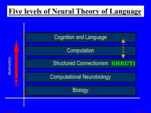 Five levels of Neural Theory of Language Cognition and Language Computation Structured Connectionism