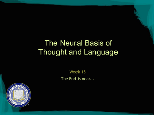 The Neural Basis of Thought and Language Week 15 The End is near...