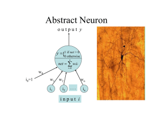Abstract Neuron  { y