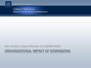 CABNR Reorganization Document