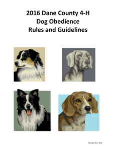 Dane County Rules and Guidelines 2016
