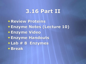 3.16 Enzymes