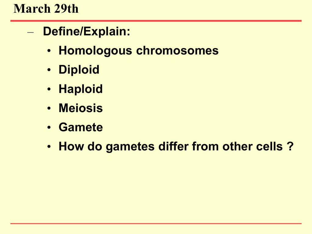 3 29 Mitosis Meiosis Review