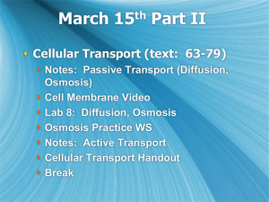 3.15 Cell Transport
