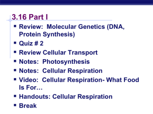 3.16 Cell Metabolism