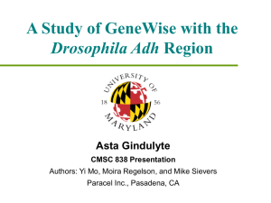 A Study of GeneWise with the Drosophila Adh Asta Gindulyte CMSC 838 Presentation