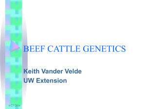 Genetic Tools Terminology ( 36 slides, 89 KB .ppt)