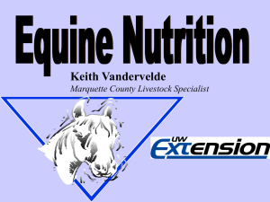 Equine Nutrition (31 slides, 936 KB .ppt)