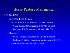 Horse Grazing Opportunities 2008 (64 slides, 6144 KB .ppt)