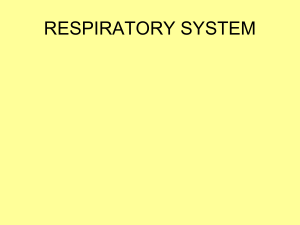 RESPIRATORY SYSTEM