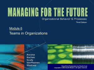 Teams in Organizations Module 6 PowerPoint Presentation by Charlie Cook
