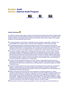 Booklet: Section: Audit Internal Audit Program