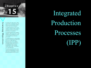 Integrated Production Processes (IPP)