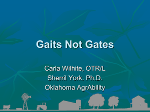 Gaits not Gates PowerPoint