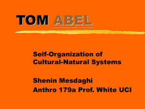 TOM ABEL Self-Organization of Cultural-Natural Systems