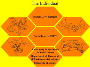 Lecture 3. The individual (Slides)
