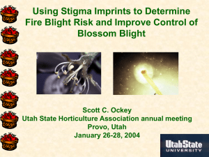 Using Stigma Imprints to Determine Fire Blight Risk and Improve Control of Blossom Blight
