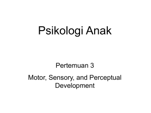 Psikologi Anak Pertemuan 3 Motor, Sensory, and Perceptual Development