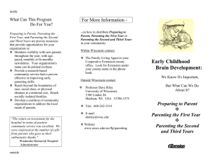 Flyer on Early Childhood Brain Development