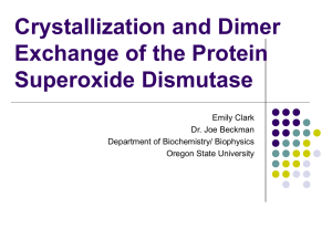 Crystallization and Dimer Exchange of the Protein Superoxide Dismutase Emily Clark