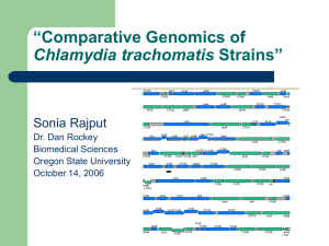 “Comparative Genomics of Strains” Chlamydia trachomatis Sonia Rajput