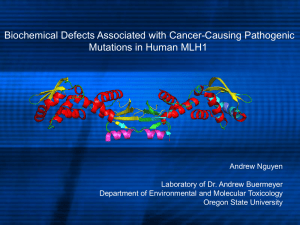 Biochemical Defects Associated with Cancer-Causing Pathogenic Mutations in Human MLH1