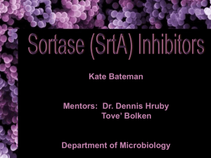 Kate Bateman Mentors:  Dr. Dennis Hruby Tove’ Bolken Department of Microbiology