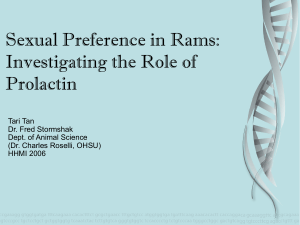 Sexual Preference in Rams: Investigating the Role of Prolactin Tari Tan