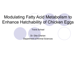 Modulating Fatty Acid Metabolism to Enhance Hatchability of Chicken Eggs Travis Schaal