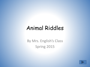Mrs. English's Animal Riddles