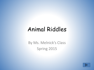 Ms. Melnick's Animal Riddles