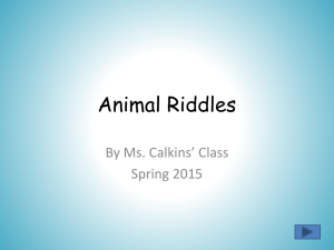 Ms. Calkins' Animal Riddles