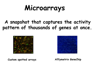 Microarray slides