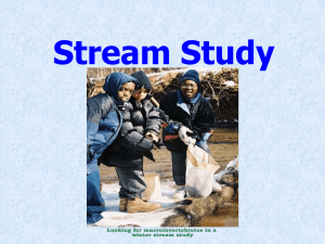 Stream Study PowerPoint