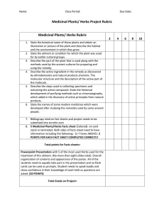 Plant Project Rubric