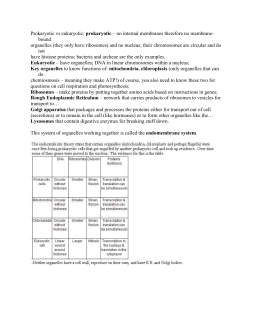 Ch2 Lesson2 Lesson Outline with ANSWERS