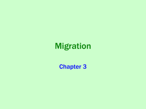 Migration Notes