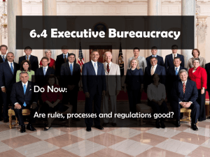 Executive Bureaucracy